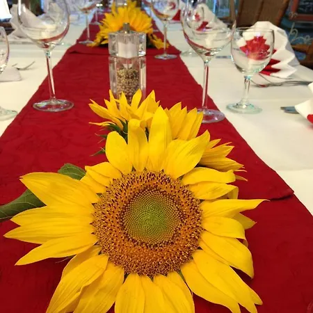 Marktplatzhotel - Restaurant Tafelspitz Hotel