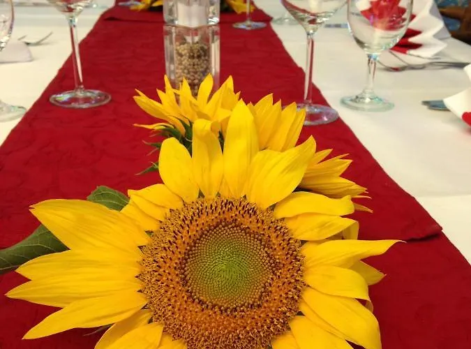 Marktplatzhotel - Restaurant Tafelspitz Hotel